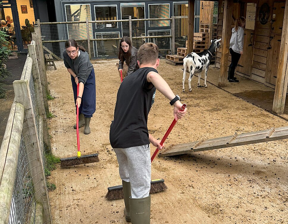 20240813_181353471_iOS